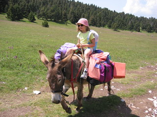 Rando d'Ane du Vercors, Juin 2005